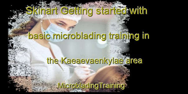 Skinart Getting started with basic microblading training in the Kaeaevaenkylae area | MicrobladingTraining | MicrobladingClasses | SkinartTraining-Finland