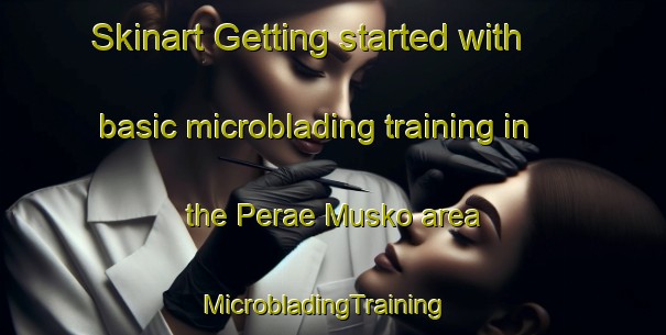 Skinart Getting started with basic microblading training in the Perae Musko area | MicrobladingTraining | MicrobladingClasses | SkinartTraining-Finland