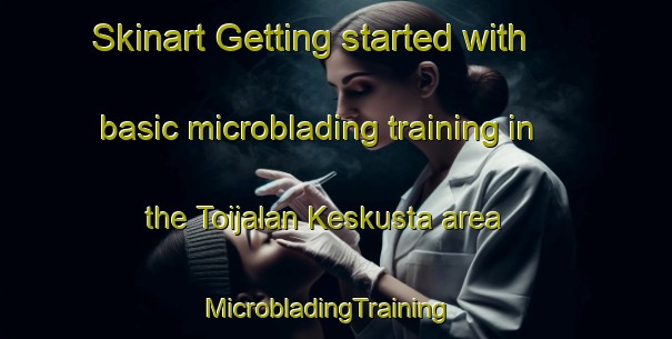 Skinart Getting started with basic microblading training in the Toijalan Keskusta area | MicrobladingTraining | MicrobladingClasses | SkinartTraining-Finland