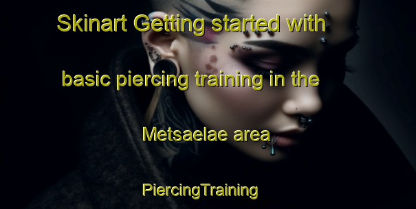 Skinart Getting started with basic piercing training in the Metsaelae area | PiercingTraining | PiercingClasses | SkinartTraining-Finland