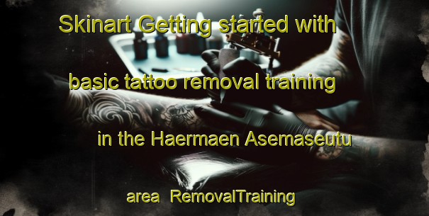 Skinart Getting started with basic tattoo removal training in the Haermaen Asemaseutu area | RemovalTraining | RemovalClasses | SkinartTraining-Finland