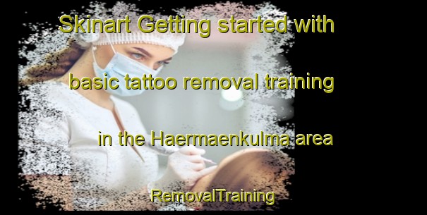 Skinart Getting started with basic tattoo removal training in the Haermaenkulma area | RemovalTraining | RemovalClasses | SkinartTraining-Finland