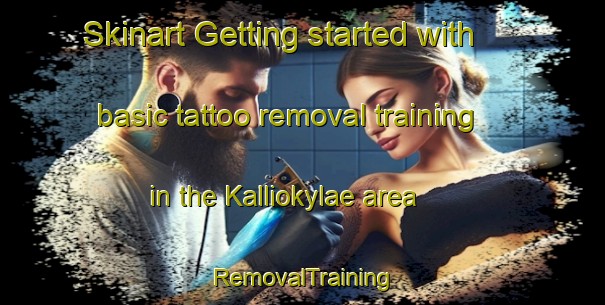Skinart Getting started with basic tattoo removal training in the Kalliokylae area | RemovalTraining | RemovalClasses | SkinartTraining-Finland