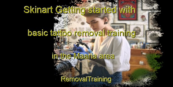 Skinart Getting started with basic tattoo removal training in the Maaria area | RemovalTraining | RemovalClasses | SkinartTraining-Finland