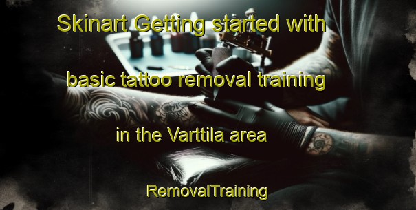 Skinart Getting started with basic tattoo removal training in the Varttila area | RemovalTraining | RemovalClasses | SkinartTraining-Finland