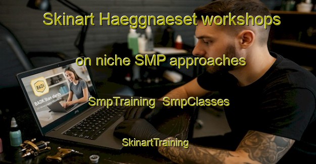 Skinart Haeggnaeset workshops on niche SMP approaches | SmpTraining | SmpClasses | SkinartTraining-Finland