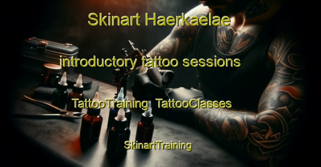 Skinart Haerkaelae introductory tattoo sessions | TattooTraining | TattooClasses | SkinartTraining-Finland