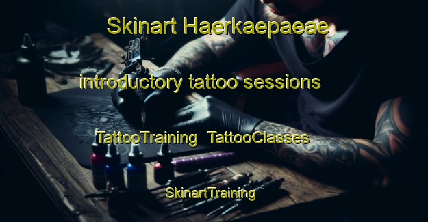Skinart Haerkaepaeae introductory tattoo sessions | TattooTraining | TattooClasses | SkinartTraining-Finland
