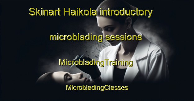 Skinart Haikola introductory microblading sessions | #MicrobladingTraining #MicrobladingClasses #SkinartTraining-Finland