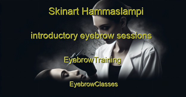 Skinart Hammaslampi introductory eyebrow sessions | EyebrowTraining | EyebrowClasses | SkinartTraining-Finland