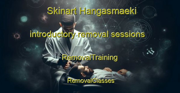 Skinart Hangasmaeki introductory removal sessions | RemovalTraining | RemovalClasses | SkinartTraining-Finland