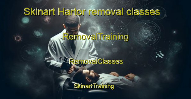 Skinart Hartor removal classes | RemovalTraining | RemovalClasses | SkinartTraining-Finland