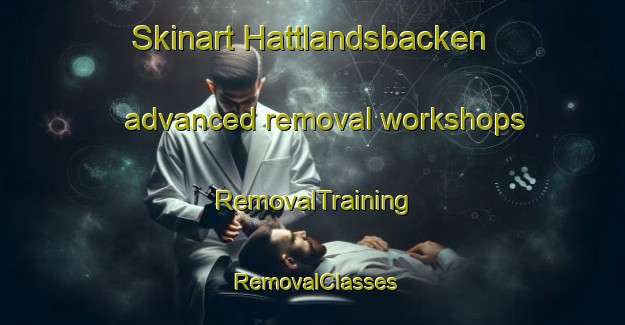 Skinart Hattlandsbacken advanced removal workshops | RemovalTraining | RemovalClasses | SkinartTraining-Finland