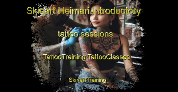 Skinart Heimari introductory tattoo sessions | #TattooTraining #TattooClasses #SkinartTraining-Finland