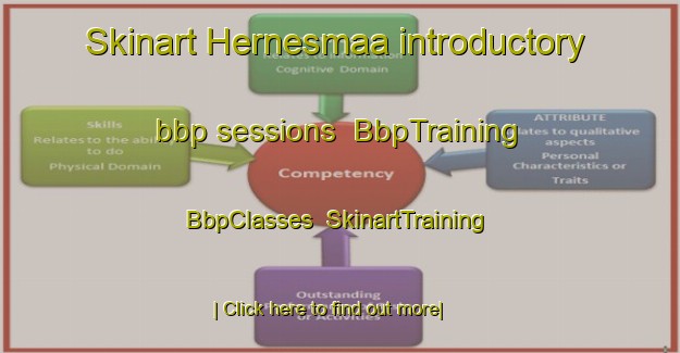 Skinart Hernesmaa introductory bbp sessions | BbpTraining | BbpClasses | SkinartTraining-Finland