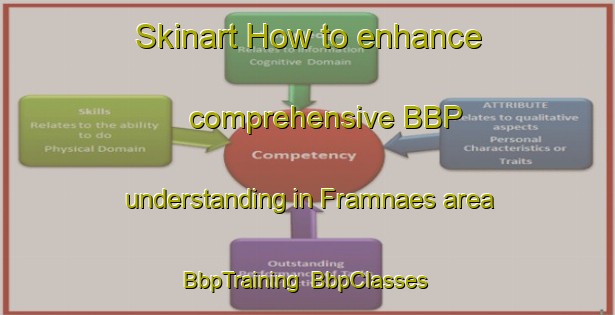 Skinart How to enhance comprehensive BBP understanding in Framnaes area | BbpTraining | BbpClasses | SkinartTraining-Finland