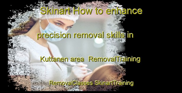 Skinart How to enhance precision removal skills in Kuttanen area | #RemovalTraining #RemovalClasses #SkinartTraining-Finland