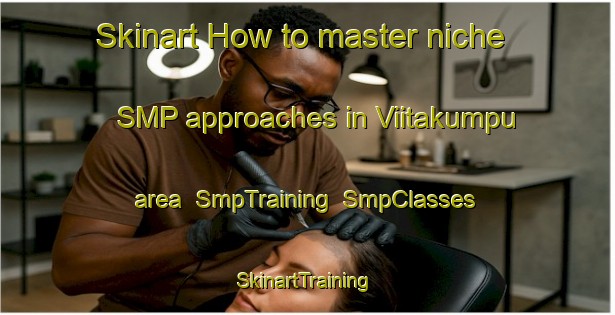 Skinart How to master niche SMP approaches in Viitakumpu area | SmpTraining | SmpClasses | SkinartTraining-Finland