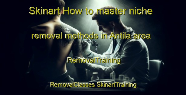 Skinart How to master niche removal methods in Antila area | #RemovalTraining #RemovalClasses #SkinartTraining-Finland