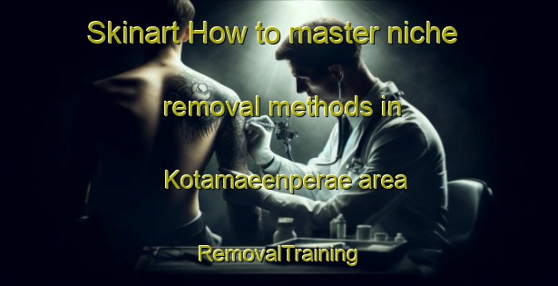 Skinart How to master niche removal methods in Kotamaeenperae area | RemovalTraining | RemovalClasses | SkinartTraining-Finland