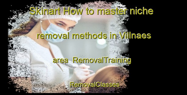 Skinart How to master niche removal methods in Villnaes area | RemovalTraining | RemovalClasses | SkinartTraining-Finland