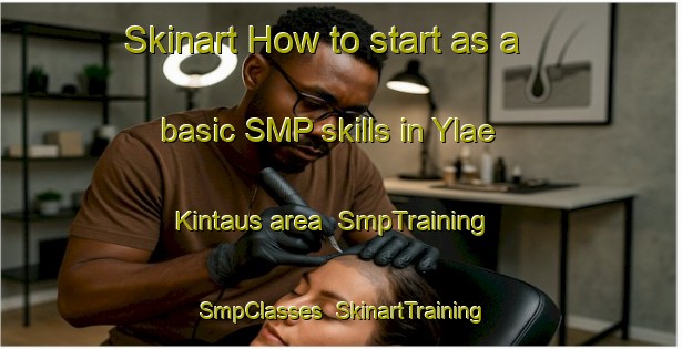 Skinart How to start as a basic SMP skills in Ylae Kintaus area | SmpTraining | SmpClasses | SkinartTraining-Finland
