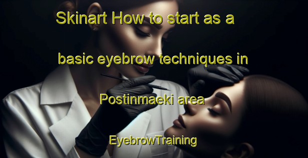 Skinart How to start as a basic eyebrow techniques in Postinmaeki area | EyebrowTraining | EyebrowClasses | SkinartTraining-Finland