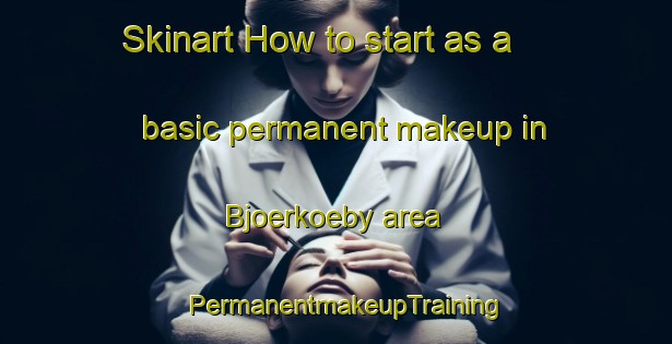 Skinart How to start as a basic permanent makeup in Bjoerkoeby area | PermanentmakeupTraining | PermanentmakeupClasses | SkinartTraining-Finland