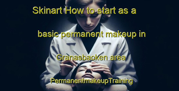 Skinart How to start as a basic permanent makeup in Granasbacken area | PermanentmakeupTraining | PermanentmakeupClasses | SkinartTraining-Finland