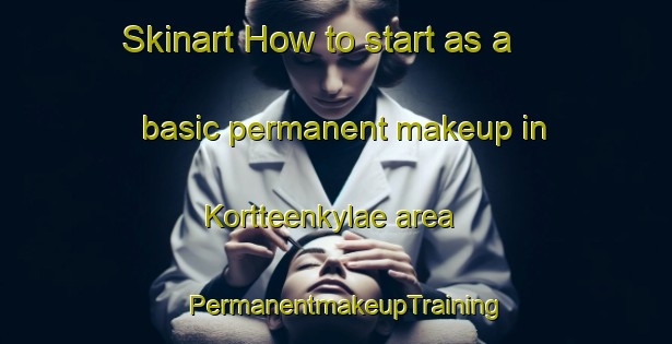 Skinart How to start as a basic permanent makeup in Kortteenkylae area | PermanentmakeupTraining | PermanentmakeupClasses | SkinartTraining-Finland