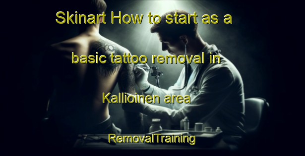 Skinart How to start as a basic tattoo removal in Kallioinen area | RemovalTraining | RemovalClasses | SkinartTraining-Finland
