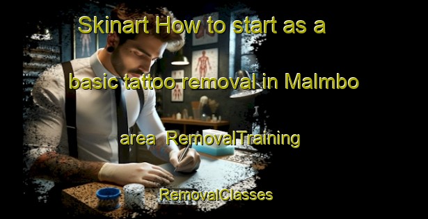 Skinart How to start as a basic tattoo removal in Malmbo area | RemovalTraining | RemovalClasses | SkinartTraining-Finland
