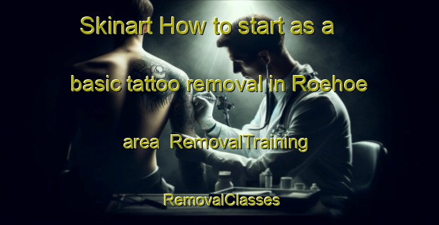 Skinart How to start as a basic tattoo removal in Roehoe area | RemovalTraining | RemovalClasses | SkinartTraining-Finland