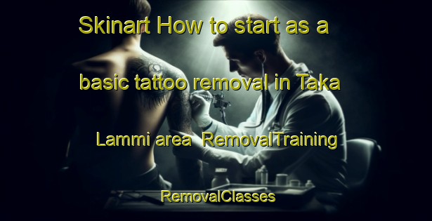 Skinart How to start as a basic tattoo removal in Taka Lammi area | RemovalTraining | RemovalClasses | SkinartTraining-Finland