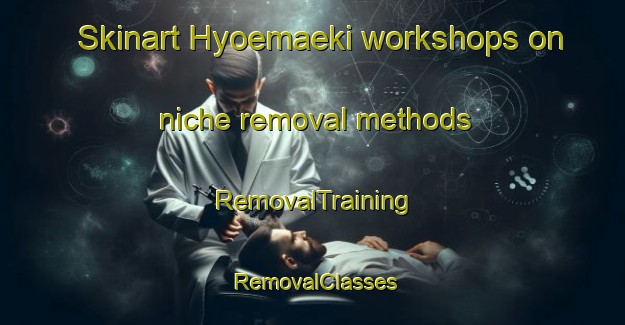 Skinart Hyoemaeki workshops on niche removal methods | RemovalTraining | RemovalClasses | SkinartTraining-Finland