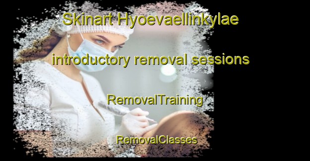 Skinart Hyoevaellinkylae introductory removal sessions | RemovalTraining | RemovalClasses | SkinartTraining-Finland