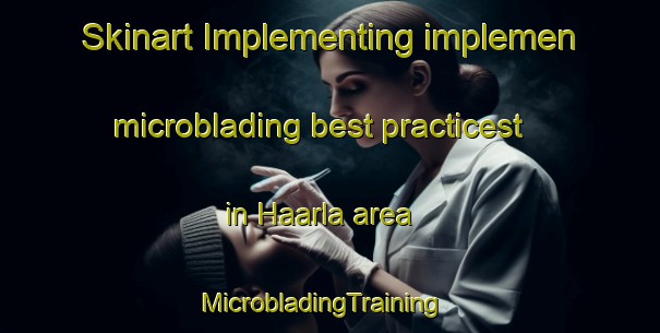 Skinart Implementing implemen microblading best practicest in Haarla area | MicrobladingTraining | MicrobladingClasses | SkinartTraining-Finland