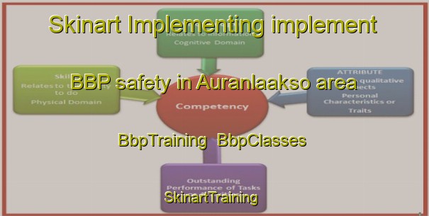Skinart Implementing implement BBP safety in Auranlaakso area | BbpTraining | BbpClasses | SkinartTraining-Finland