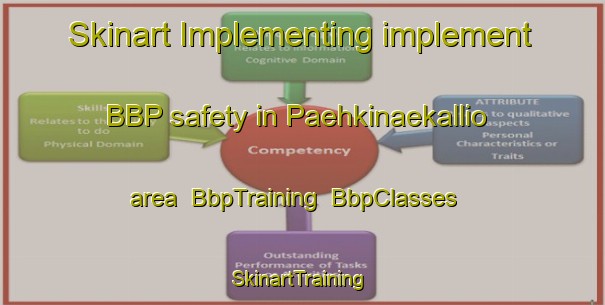 Skinart Implementing implement BBP safety in Paehkinaekallio area | BbpTraining | BbpClasses | SkinartTraining-Finland