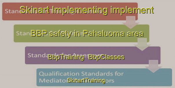 Skinart Implementing implement BBP safety in Pahaluoma area | BbpTraining | BbpClasses | SkinartTraining-Finland