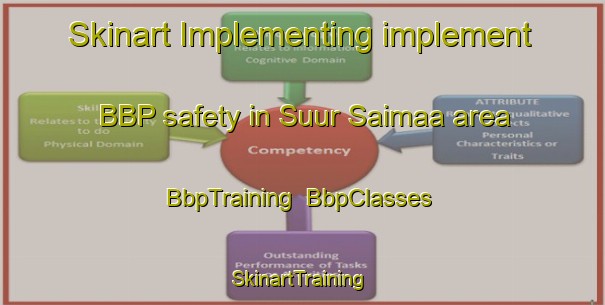 Skinart Implementing implement BBP safety in Suur Saimaa area | BbpTraining | BbpClasses | SkinartTraining-Finland