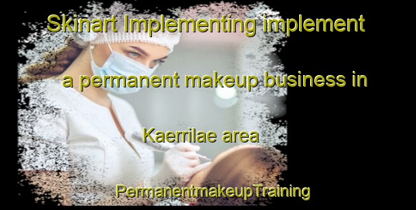 Skinart Implementing implement a permanent makeup business in Kaerrilae area | PermanentmakeupTraining | PermanentmakeupClasses | SkinartTraining-Finland