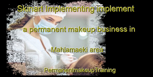 Skinart Implementing implement a permanent makeup business in Mahlamaeki area | #PermanentmakeupTraining #PermanentmakeupClasses #SkinartTraining-Finland