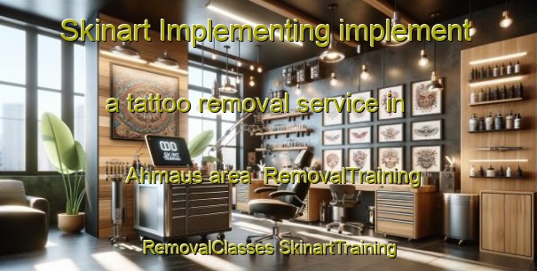 Skinart Implementing implement a tattoo removal service in Ahmaus area | #RemovalTraining #RemovalClasses #SkinartTraining-Finland