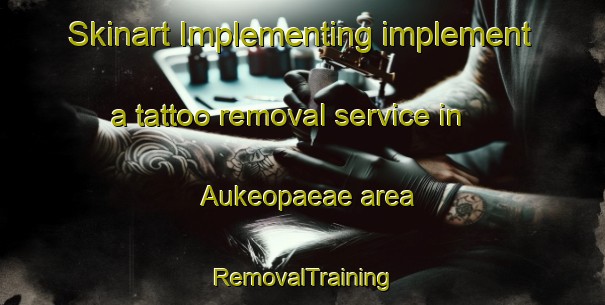 Skinart Implementing implement a tattoo removal service in Aukeopaeae area | RemovalTraining | RemovalClasses | SkinartTraining-Finland