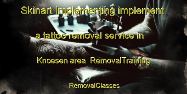 Skinart Implementing implement a tattoo removal service in Knoesen area | RemovalTraining | RemovalClasses | SkinartTraining-Finland