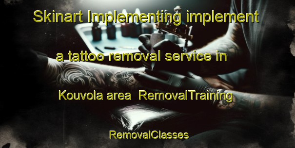 Skinart Implementing implement a tattoo removal service in Kouvola area | RemovalTraining | RemovalClasses | SkinartTraining-Finland