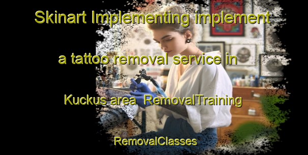 Skinart Implementing implement a tattoo removal service in Kuckus area | RemovalTraining | RemovalClasses | SkinartTraining-Finland