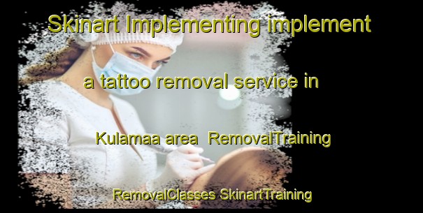 Skinart Implementing implement a tattoo removal service in Kulamaa area | #RemovalTraining #RemovalClasses #SkinartTraining-Finland