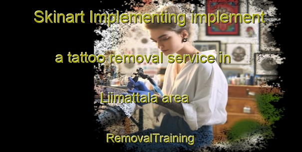 Skinart Implementing implement a tattoo removal service in Liimattala area | RemovalTraining | RemovalClasses | SkinartTraining-Finland